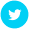 entypo-social_twitter-with-circle
